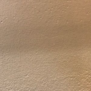 Meet your Posher, Angelique